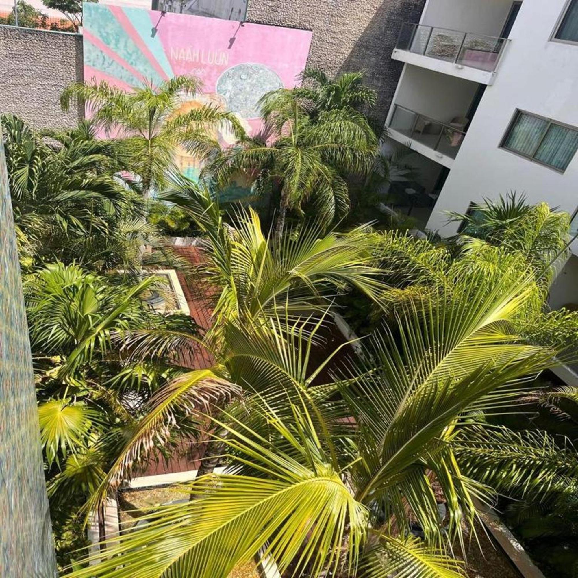 Hotel The Palm (Adults Only) Playa del Carmen Extérieur photo